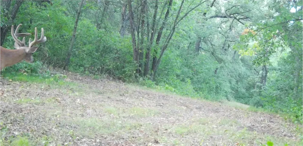 35058 State Highway 210 Battle Lake, MN 56515