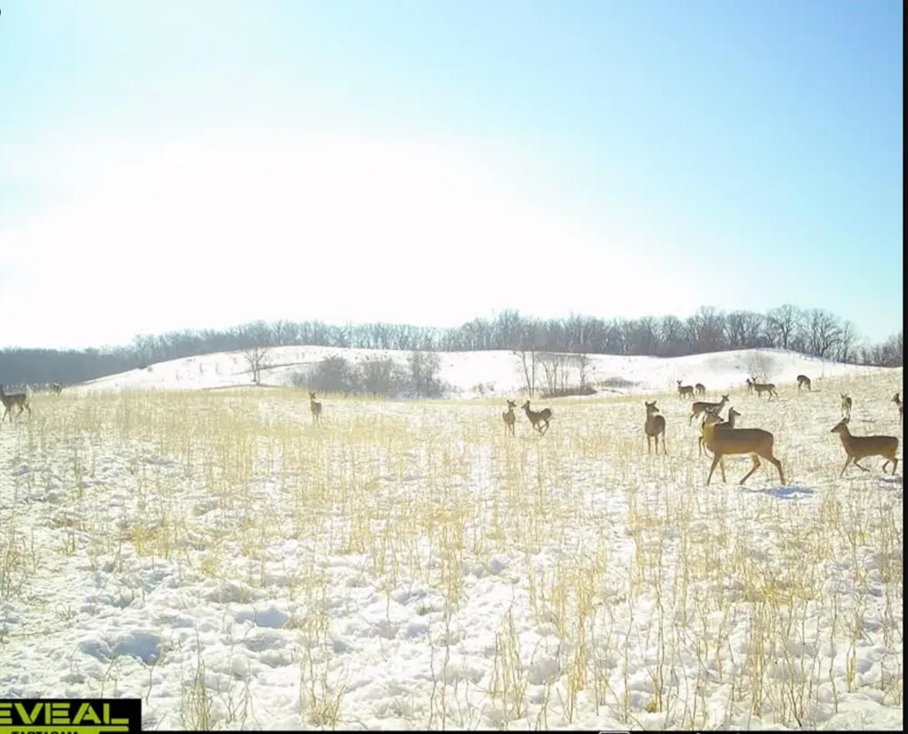 35058 State Highway 210 Battle Lake, MN 56515
