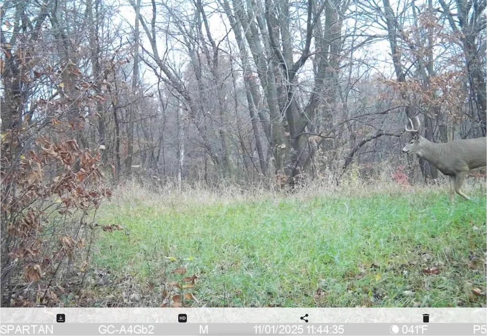 35058 State Highway 210 Battle Lake, MN 56515
