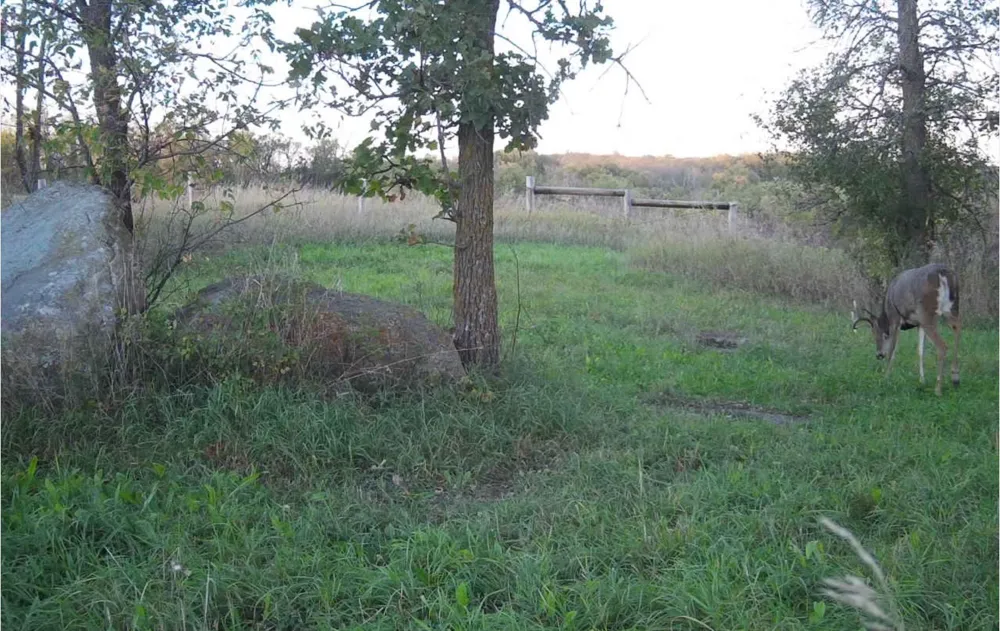 35058 State Highway 210 Battle Lake, MN 56515