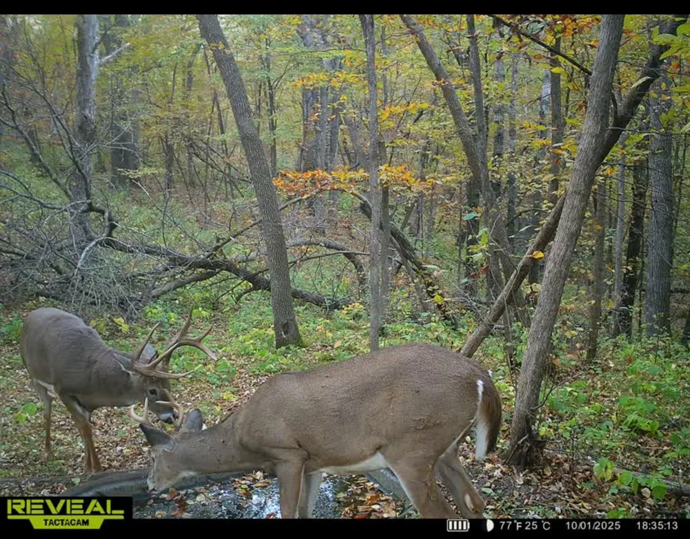 35058 State Highway 210 Battle Lake, MN 56515