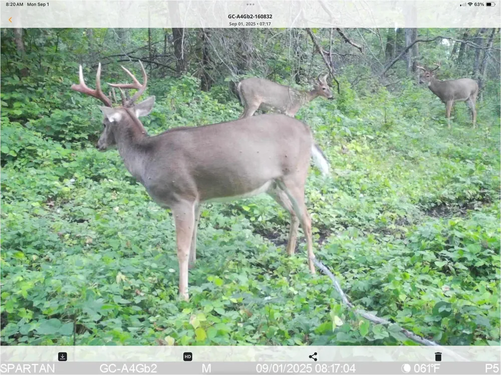 35058 State Highway 210 Battle Lake, MN 56515