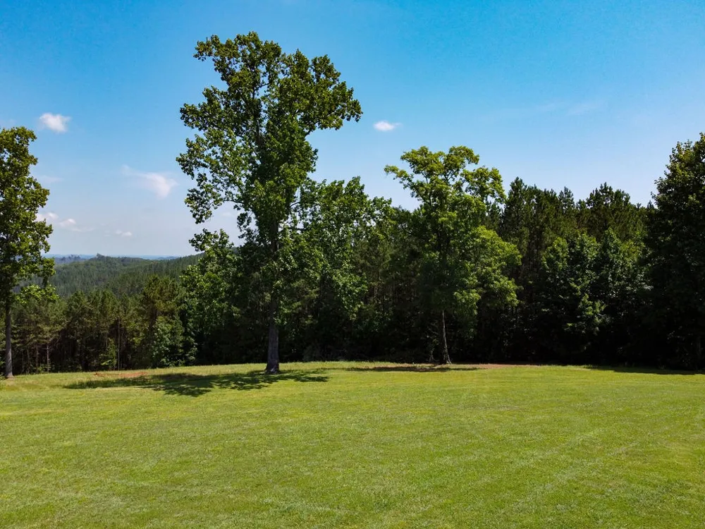 1011 Brickell Ridge Rd Decatur, TN 37322