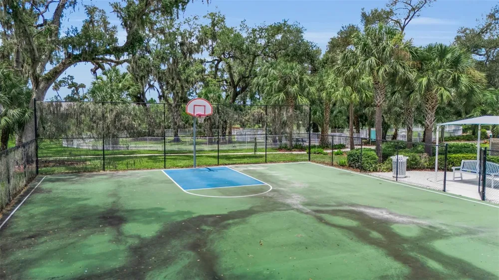 3308 BOX TURTLE TERRACE Parrish, FL 34219