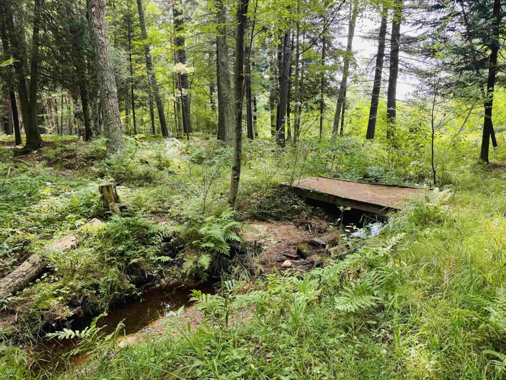 2260 Stevens Road West Branch Township, MI 49651