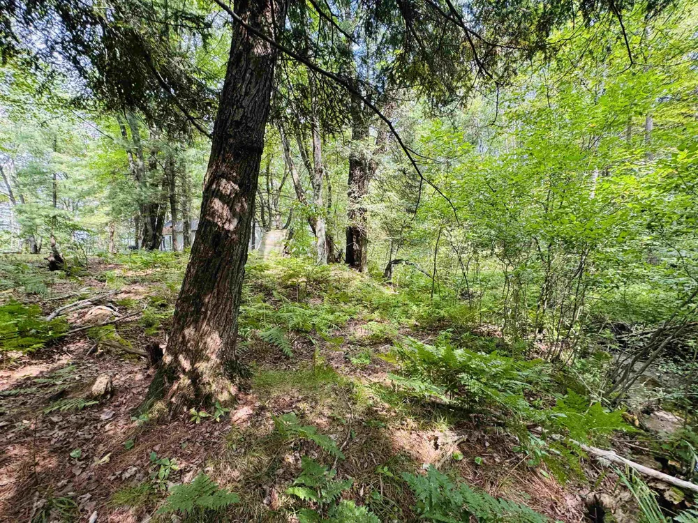 2260 Stevens Road West Branch Township, MI 49651