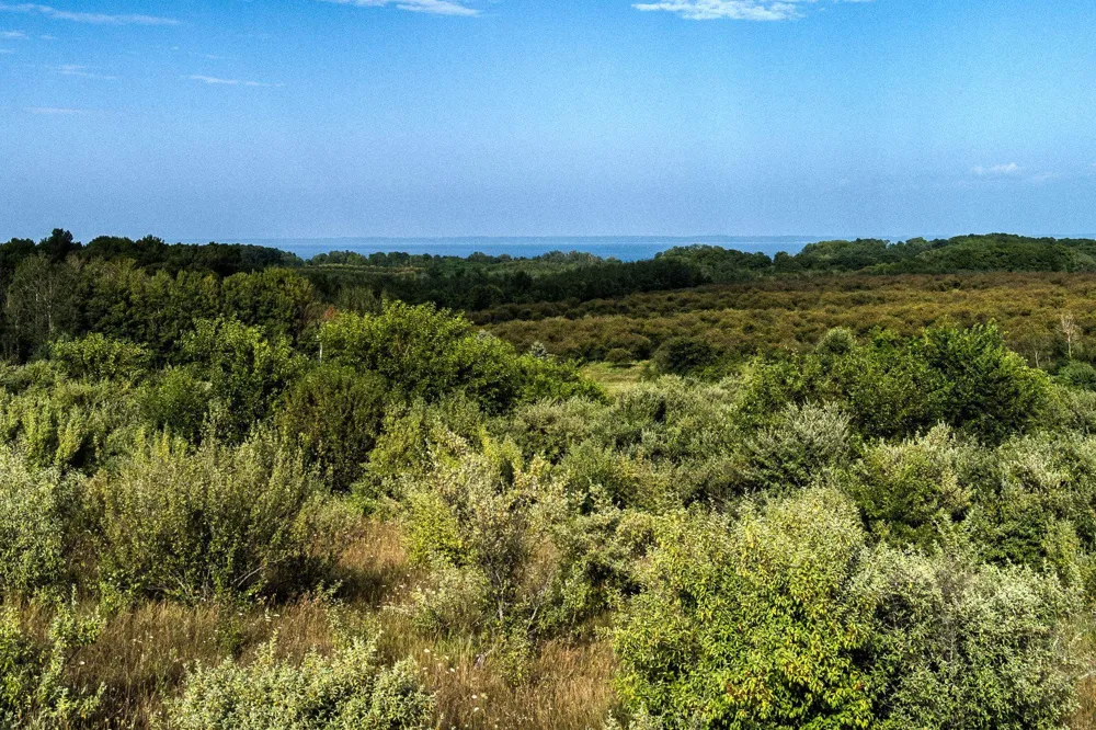 S Overlook Road Leelanau Township, MI 49670