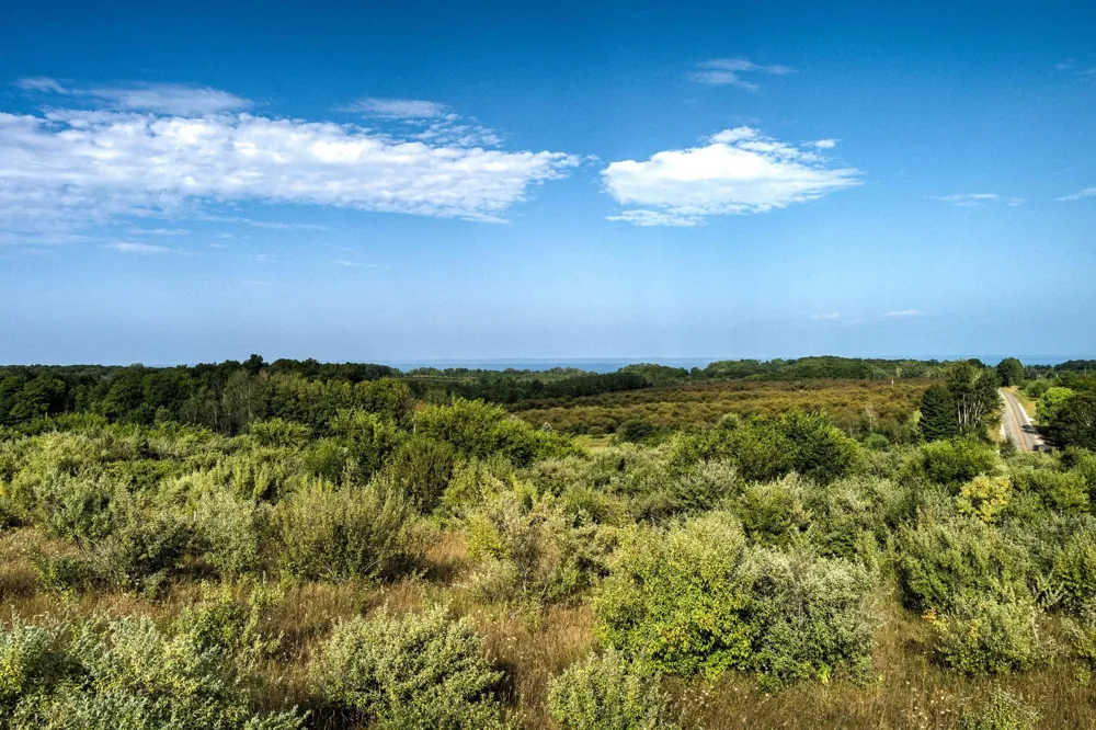 S Overlook Road Leelanau Township, MI 49670