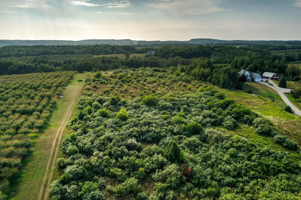 S Overlook Road Leelanau Township, MI 49670