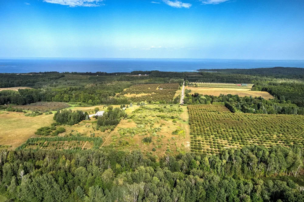 S Overlook Road Leelanau Township, MI 49670