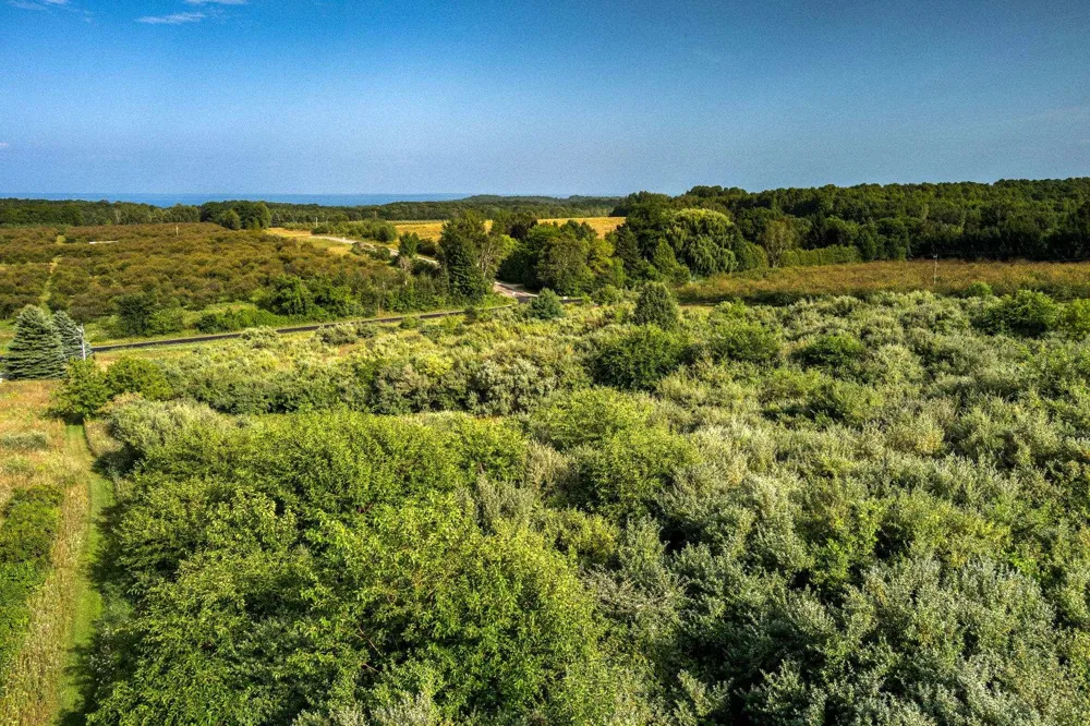 S Overlook Road Leelanau Township, MI 49670