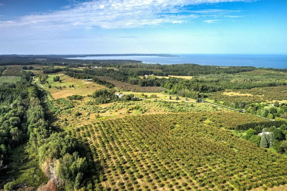 S Overlook Road Leelanau Township, MI 49670
