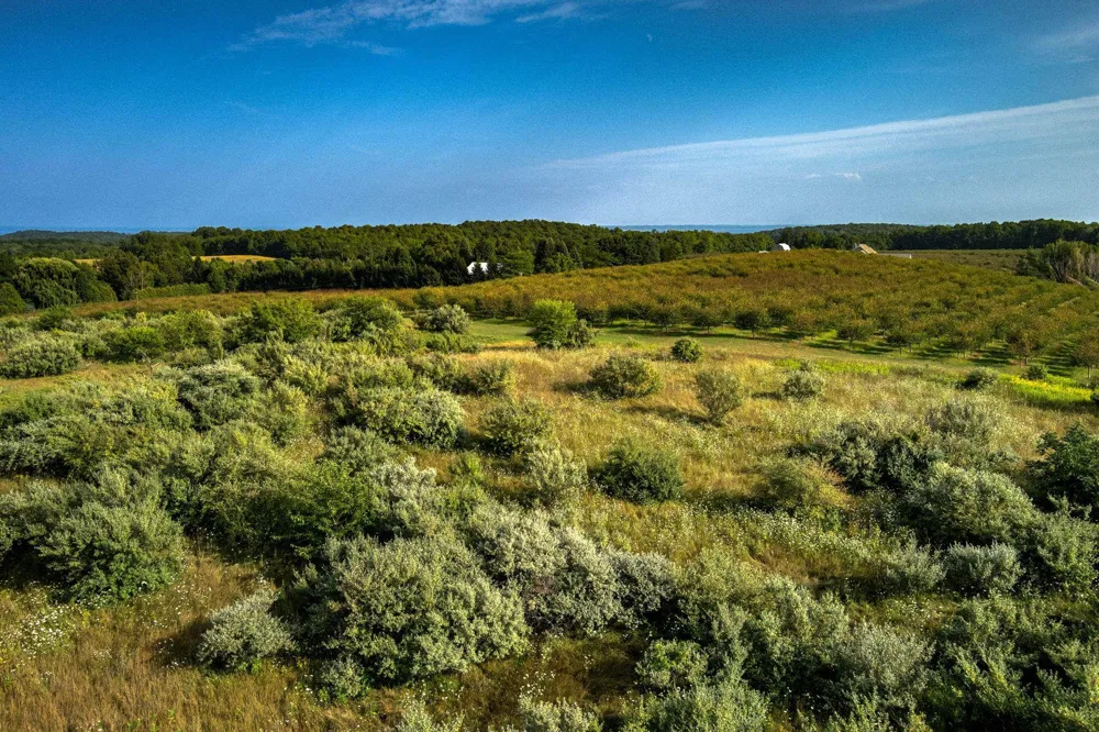 S Overlook Road Leelanau Township, MI 49670