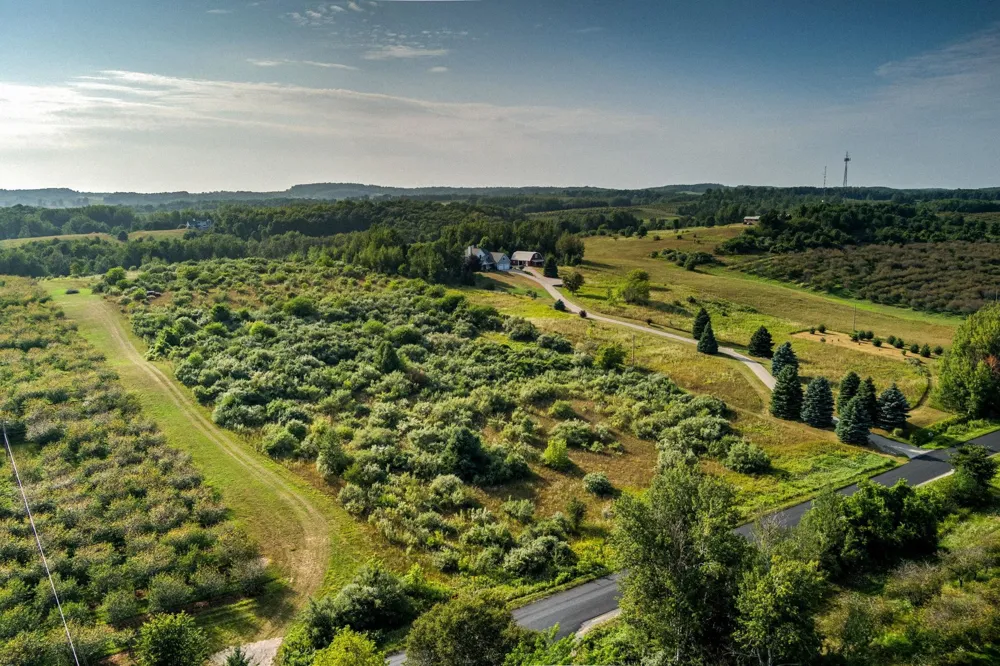 S Overlook Road Leelanau Township, MI 49670