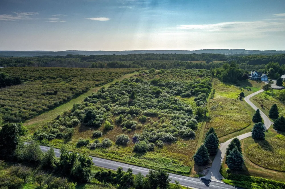S Overlook Road Leelanau Township, MI 49670