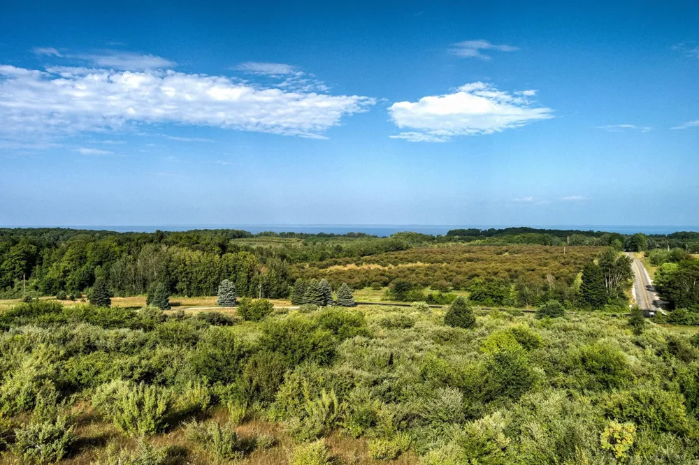 S Overlook Road Leelanau Township, MI 49670
