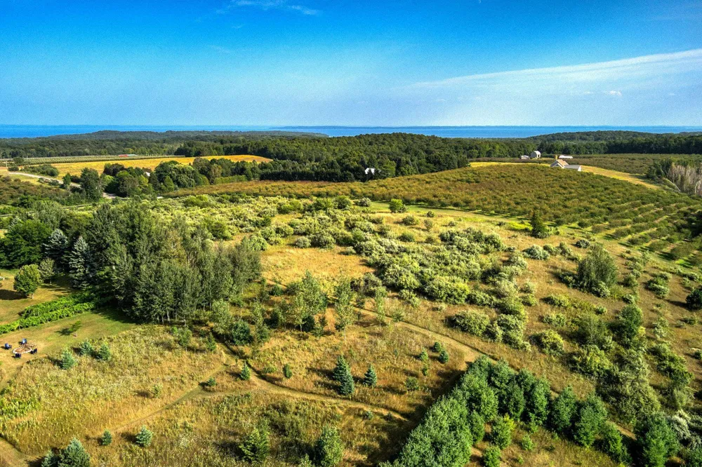 S Overlook Road Leelanau Township, MI 49670