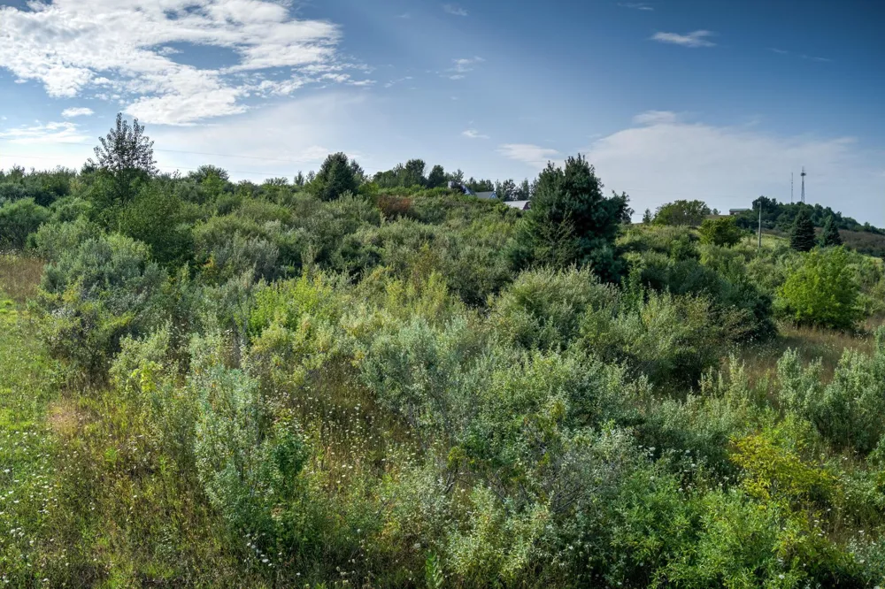 S Overlook Road Leelanau Township, MI 49670