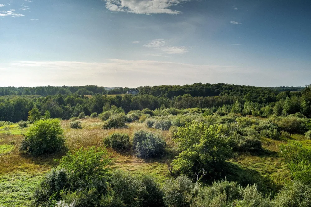 S Overlook Road Leelanau Township, MI 49670