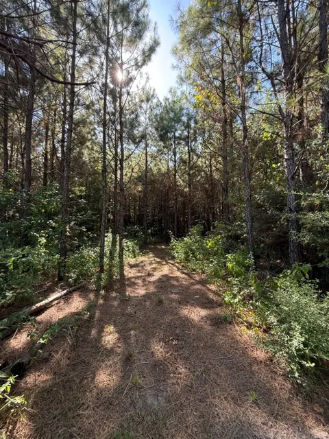 PR 8263