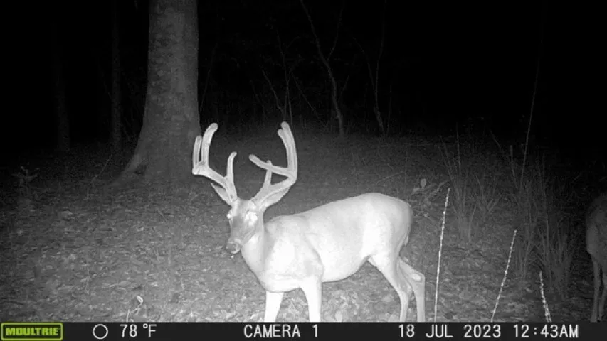 PR 8263 Broaddus, TX 75929