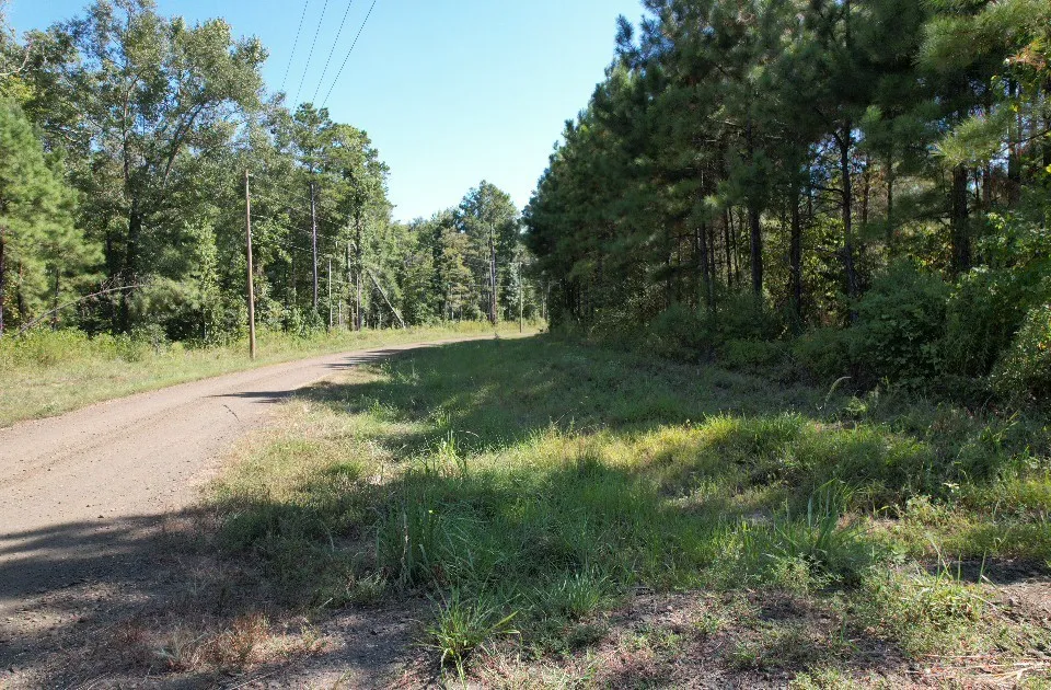 PR 8263 Broaddus, TX 75929