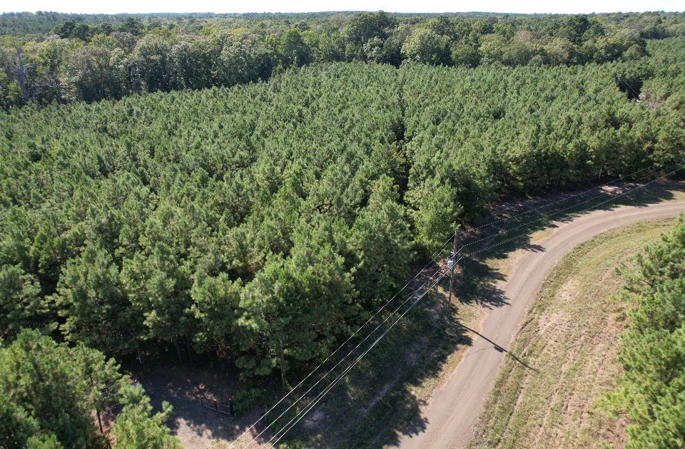 PR 8263 Broaddus, TX 75929
