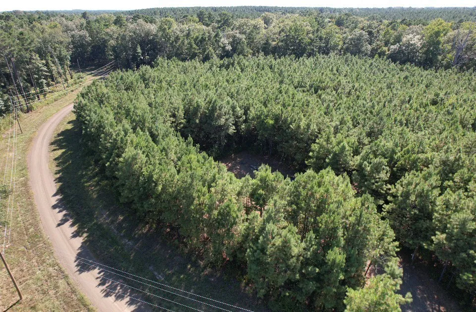 PR 8263 Broaddus, TX 75929