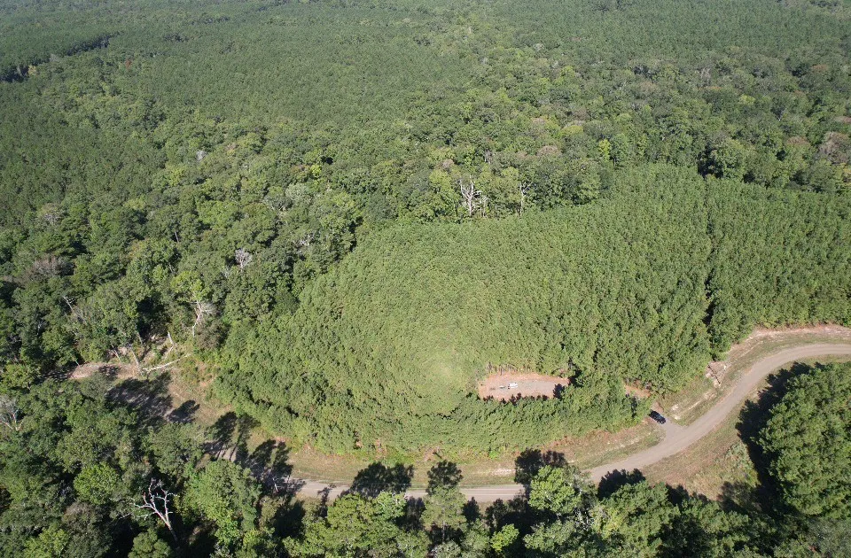 PR 8263 Broaddus, TX 75929