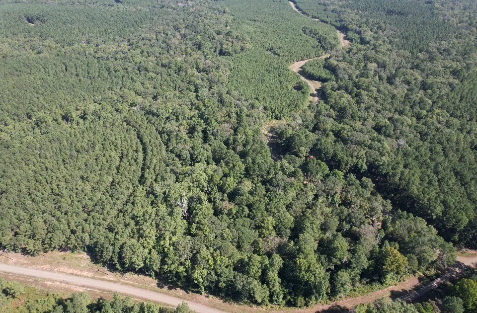 PR 8263 Broaddus, TX 75929