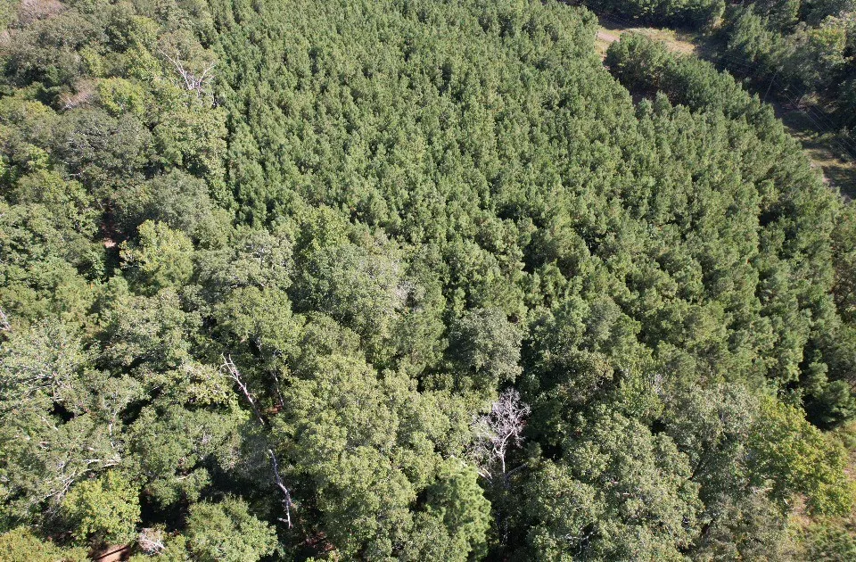 PR 8263 Broaddus, TX 75929