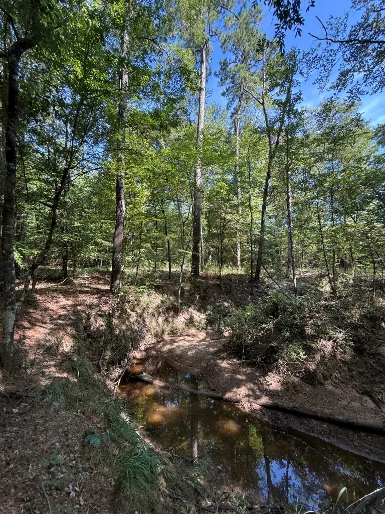 PR 8263 Broaddus, TX 75929