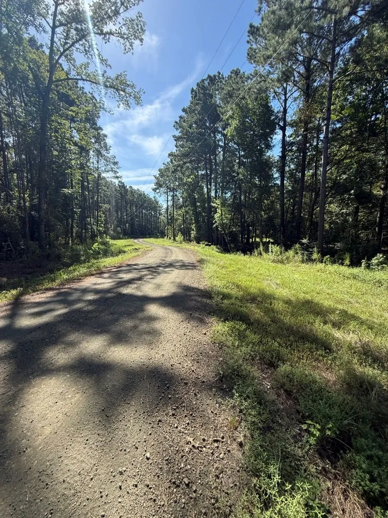 PR 8263 Broaddus, TX 75929