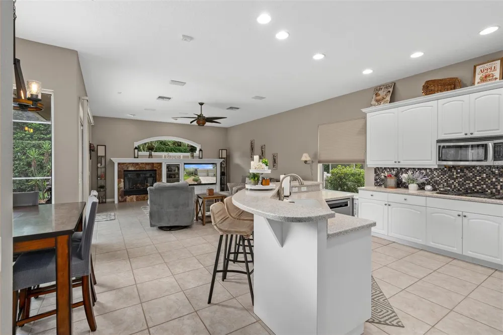 2313 EDELWEISS LOOP Trinity, FL 34655