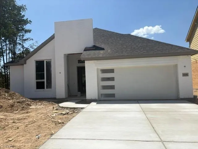 17218 Blooming Suzans Lane Conroe, TX 77302