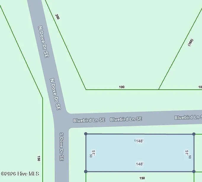 Lot 22 S Dove Drive SE Boiling Spring Lakes, NC 28461
