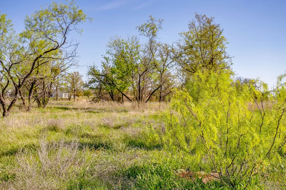 113 Dan Russell Bend Weatherford, TX 76087