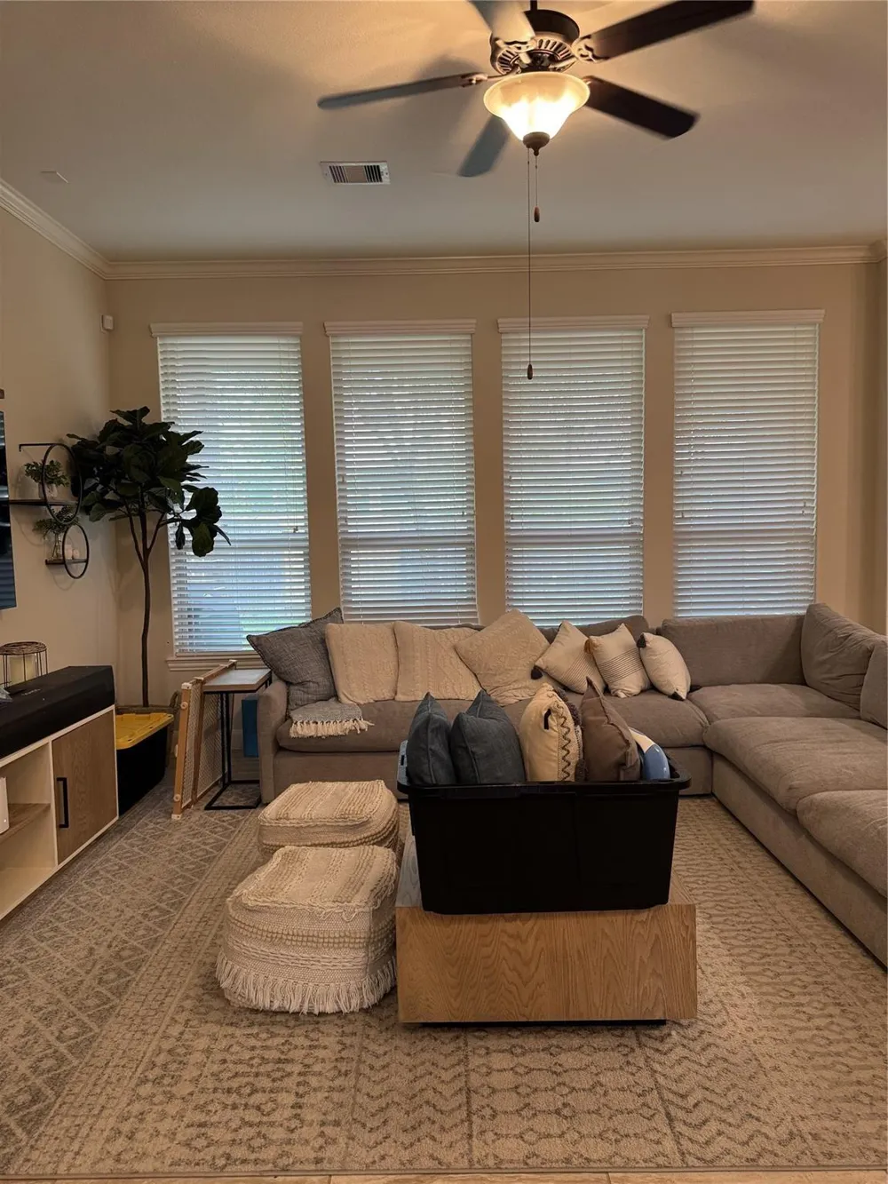 23 Dylan Branch Drive Tomball, TX 77375