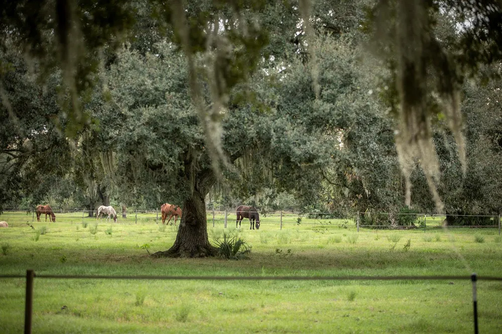 32801 US HIGHWAY 441 #246 Okeechobee, FL 34972