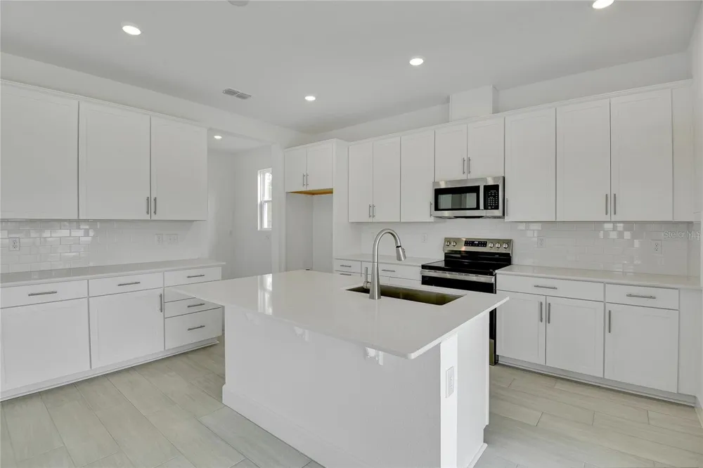 1051 CLOUD RIDGE COURT Mount Dora, FL 32757