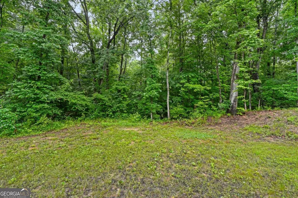 241 Muskogee DR Dallas, GA 30132
