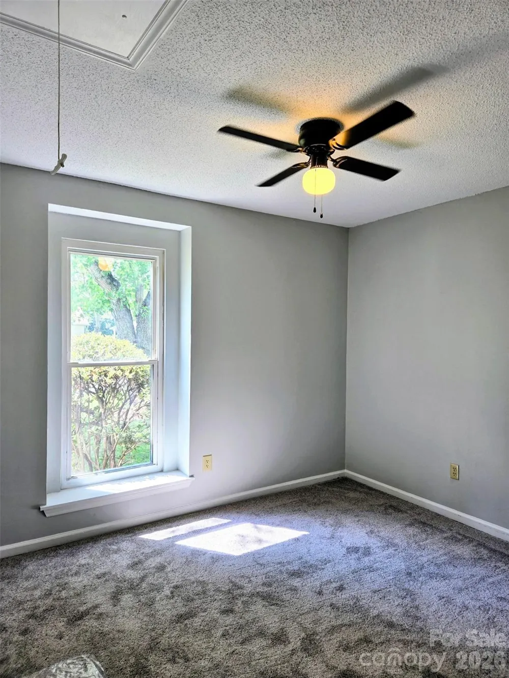 11318 Treebark Drive Pineville, NC 28134