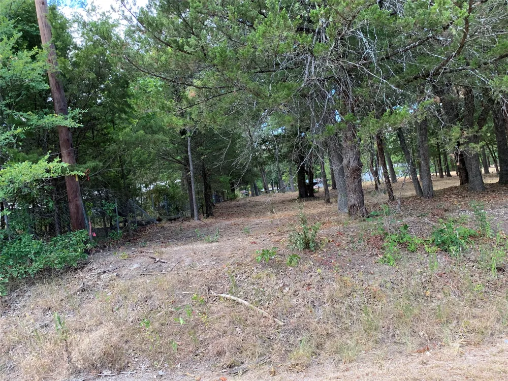 3294 Cedar Bend Wills Point, TX 75169