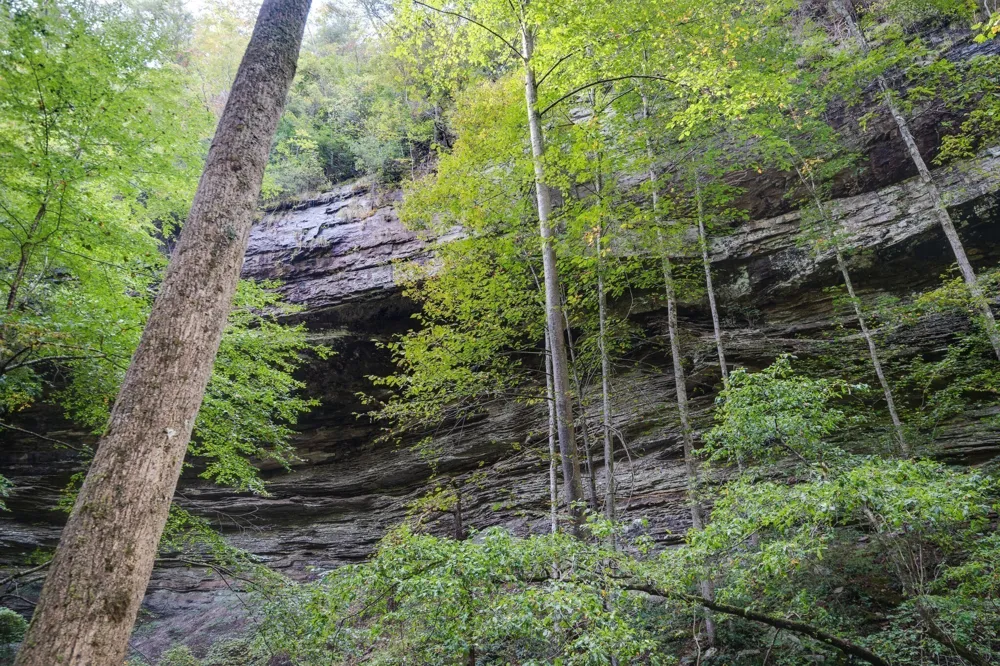 75B Deer Lick Trail Monteagle, TN 37356