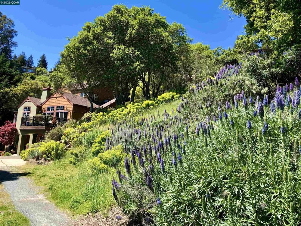 7039 Buckingham Blvd Berkeley, CA 94705