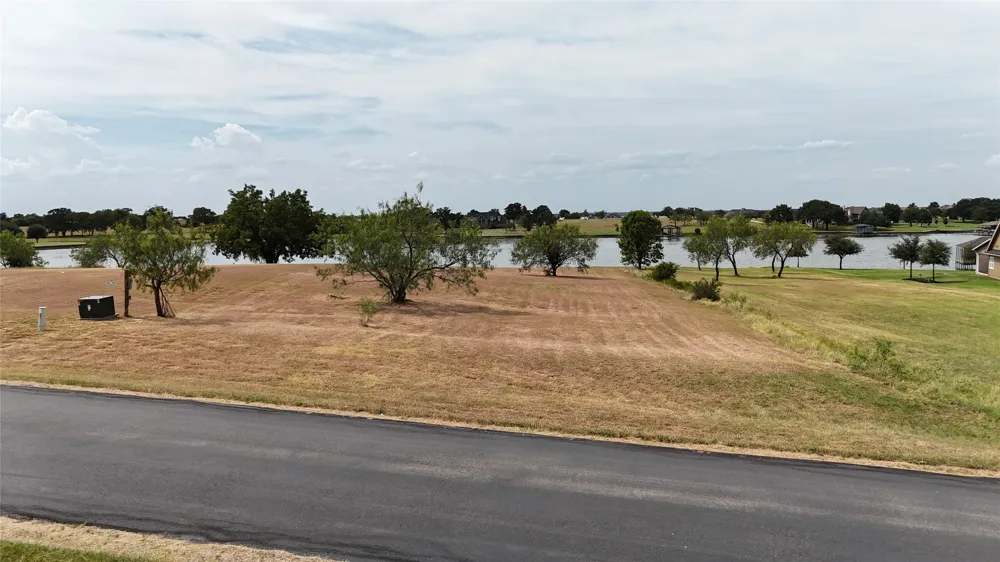Lake Vista Drive Streetman, TX 75859