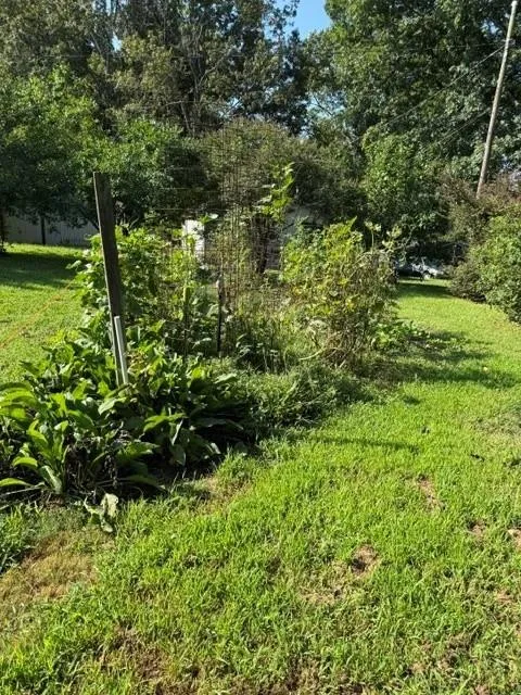 303 Georgianna Street Jasper, GA 30143