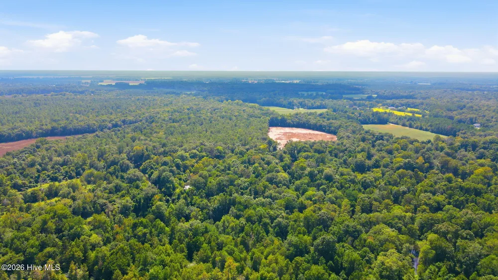 315 Heath Road Trenton, NC 28585