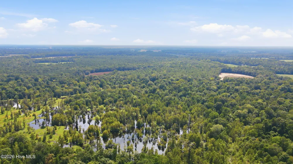 315 Heath Road Trenton, NC 28585