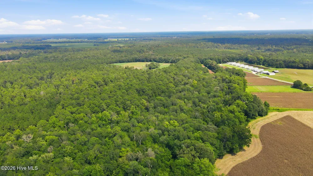 315 Heath Road Trenton, NC 28585